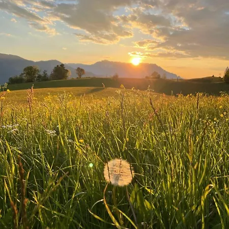 Apartment Tauglerei Hagebutte *